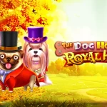 JACKPOT MAIN THE DOG HOUSE ROYAL HUNT